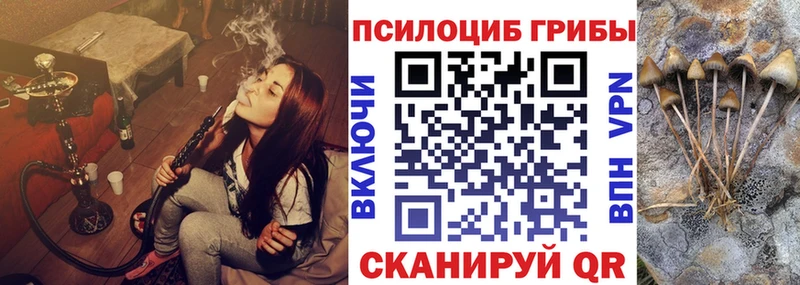 Галлюциногенные грибы Cubensis нарко площадка телеграм Ельня